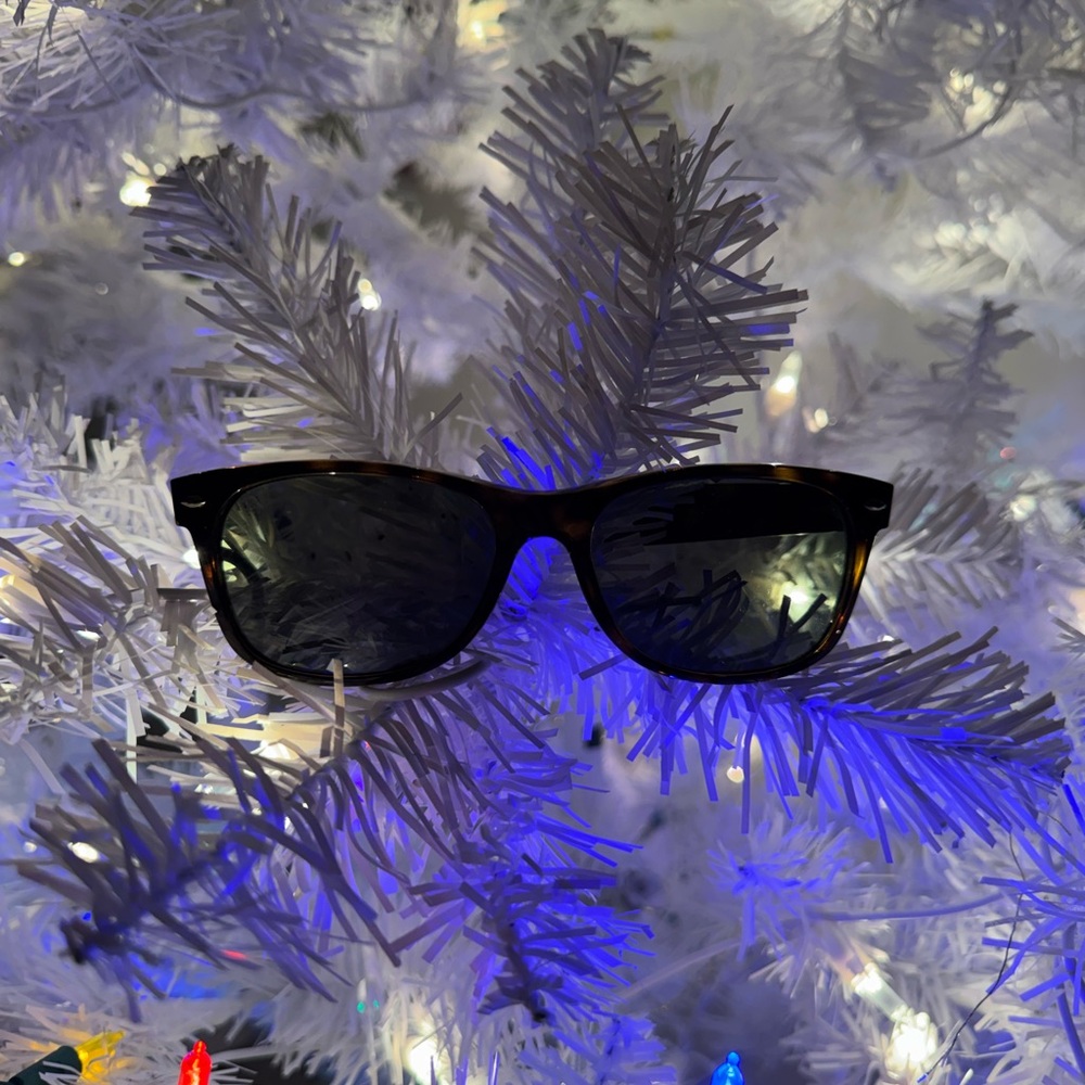 Ray-Ban Polarized Sunglasses